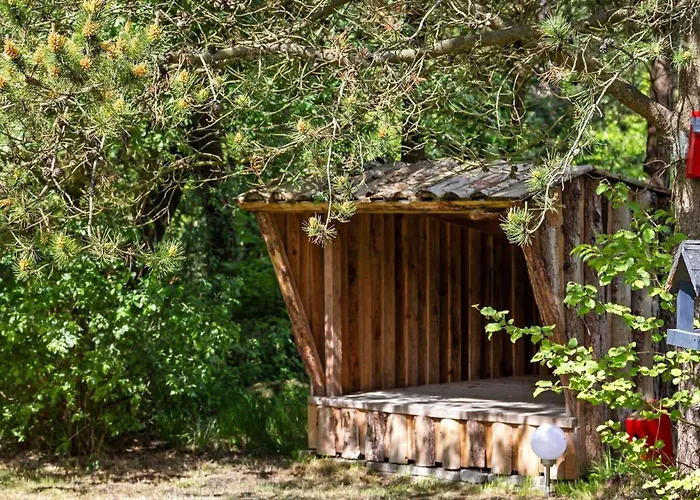 0337-romo-kliren-1 Vesterhede